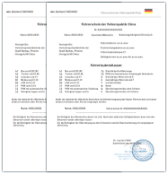 LBD德国宣誓翻译驾照认证件